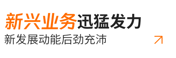 小標(biāo)題03-新興業(yè)務(wù).png