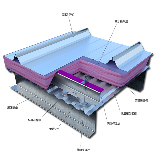 美建SS360剖米娜.jpg